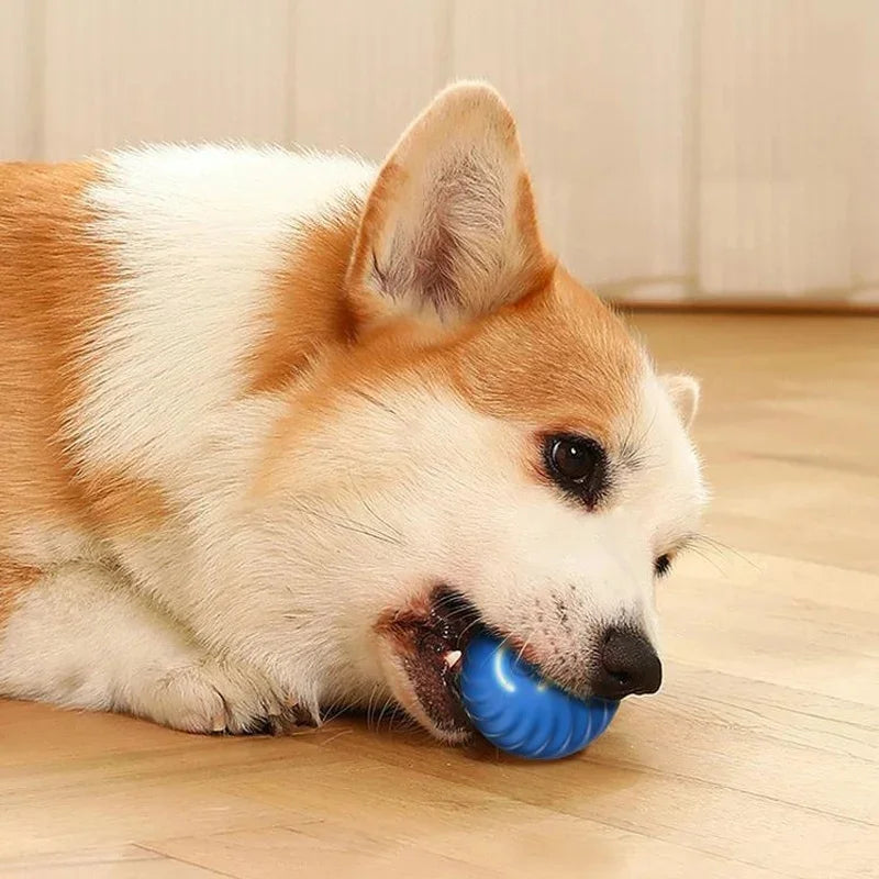 Bola de brinquedo inteligente para cachorro