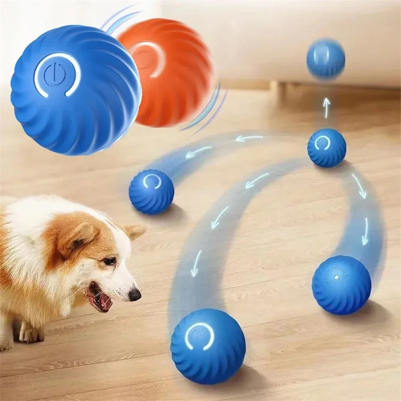 Bola de brinquedo inteligente para cachorro