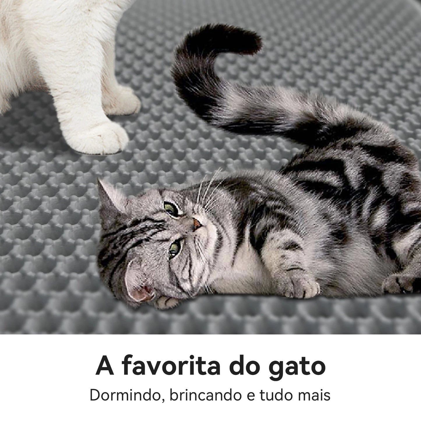 Newpet eva dupla camada para lixo de gato