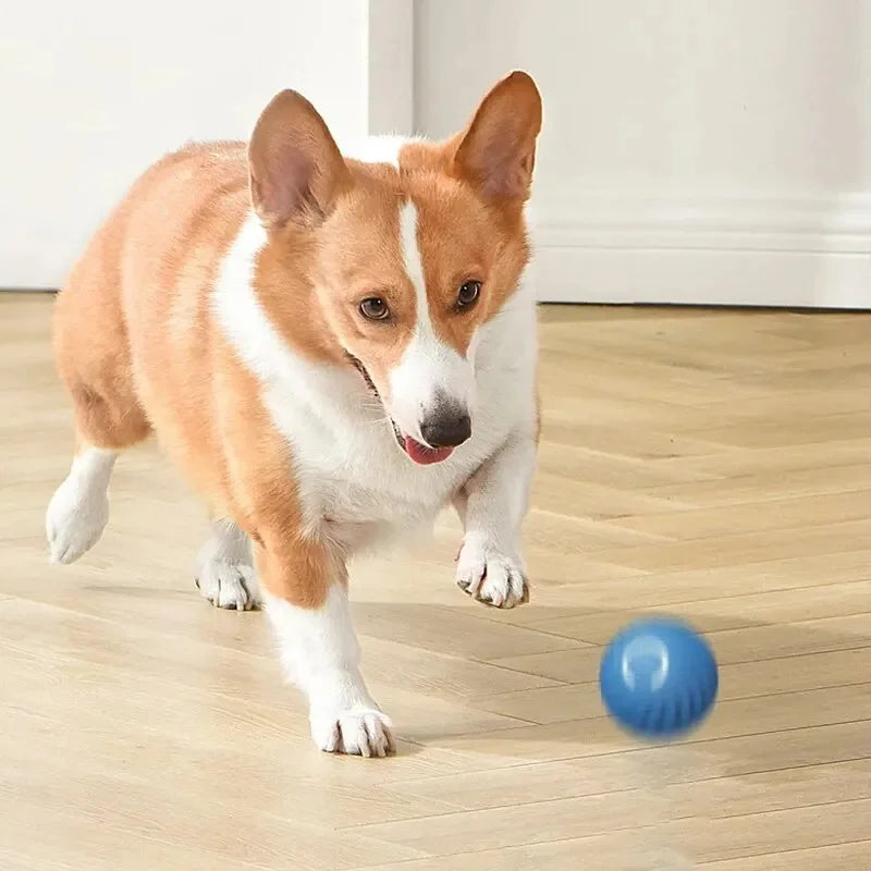 Bola de brinquedo inteligente para cachorro