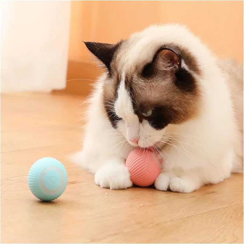 Bola de brinquedo inteligente para cachorro